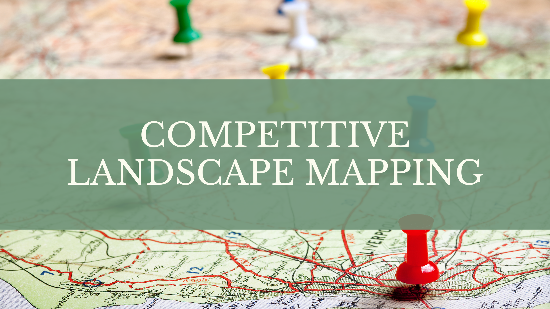 Competitive Landscape Mapping Tool by Crow and Pitcher LLC