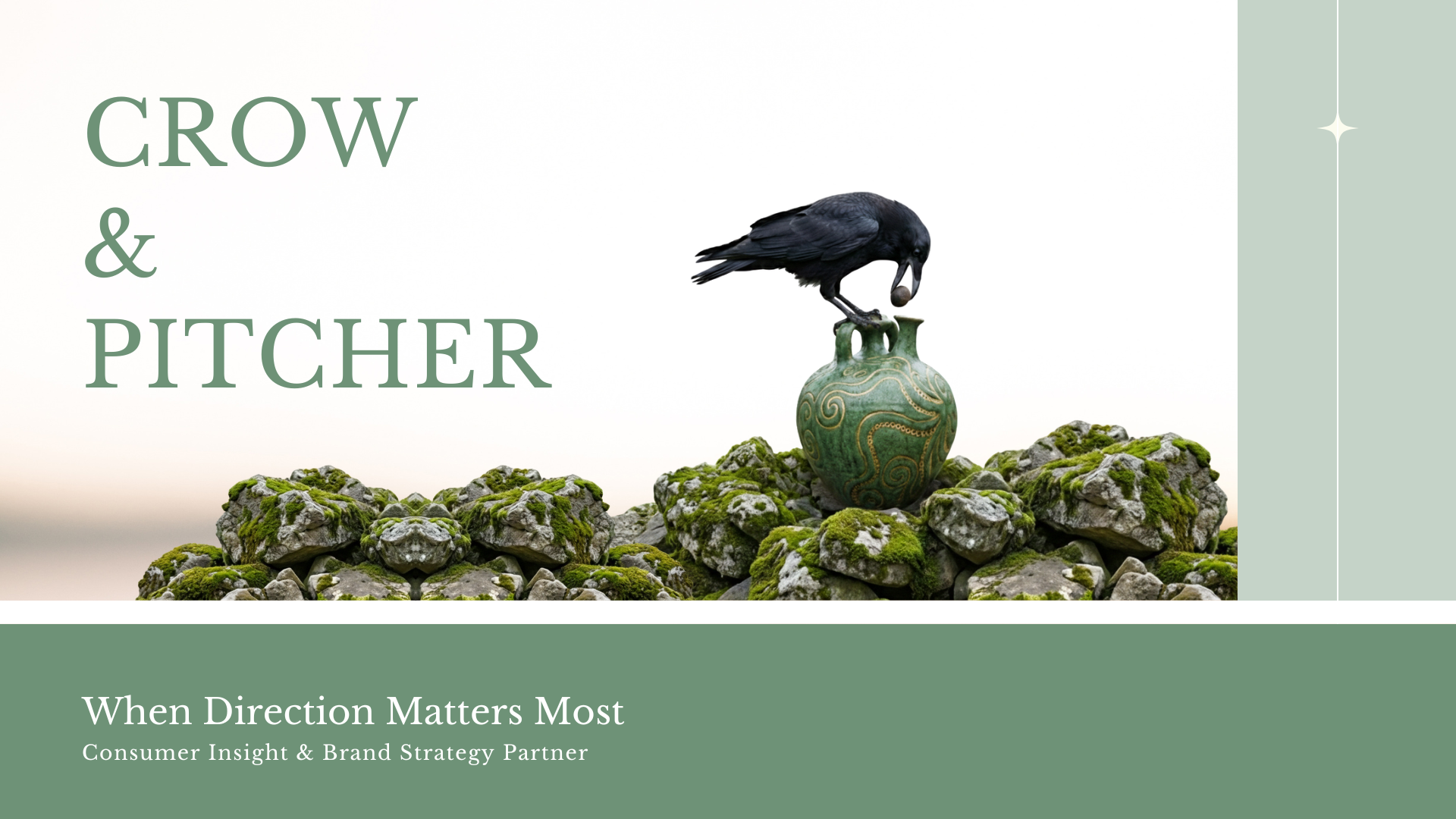 Crow and Pitcher Capabilities Overview - Page 1